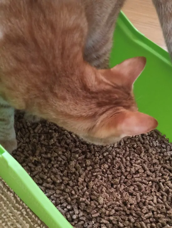 Dřevěné pelety - podestýlkové 15 kg